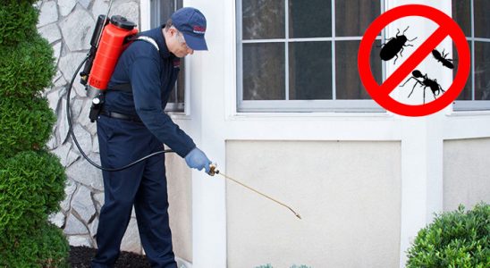 Merkezefendi Böcek İlaçlama böcek ilaçlama ve haşere kontrolü — ilaclama-tr.com